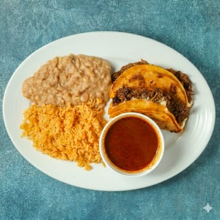 Birria Plate